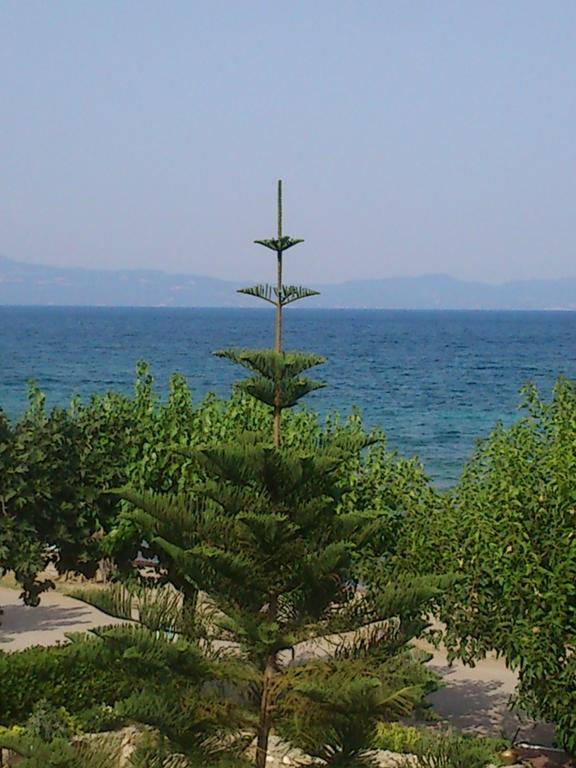 Evoikos Beach & Resort Ліванатаі Екстер'єр фото
