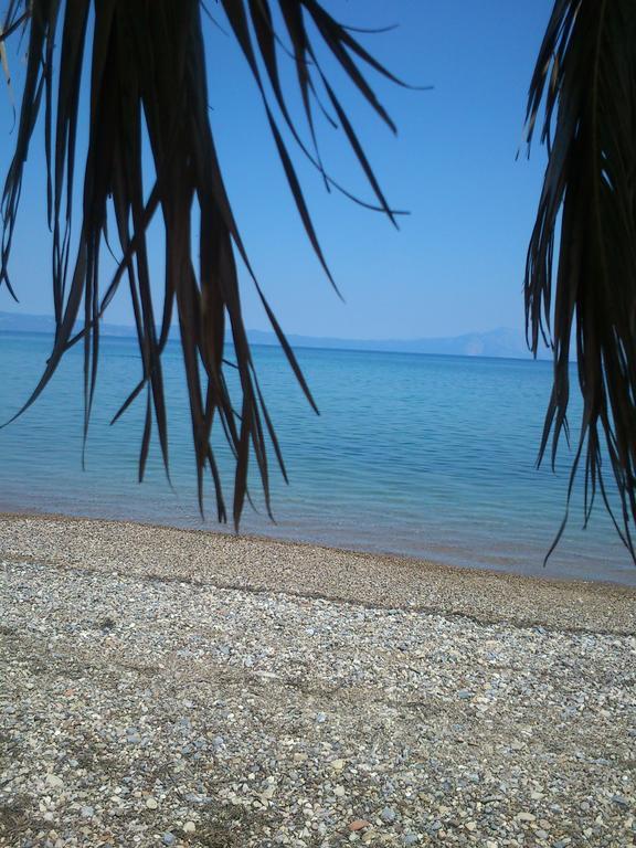 Evoikos Beach & Resort Ліванатаі Екстер'єр фото
