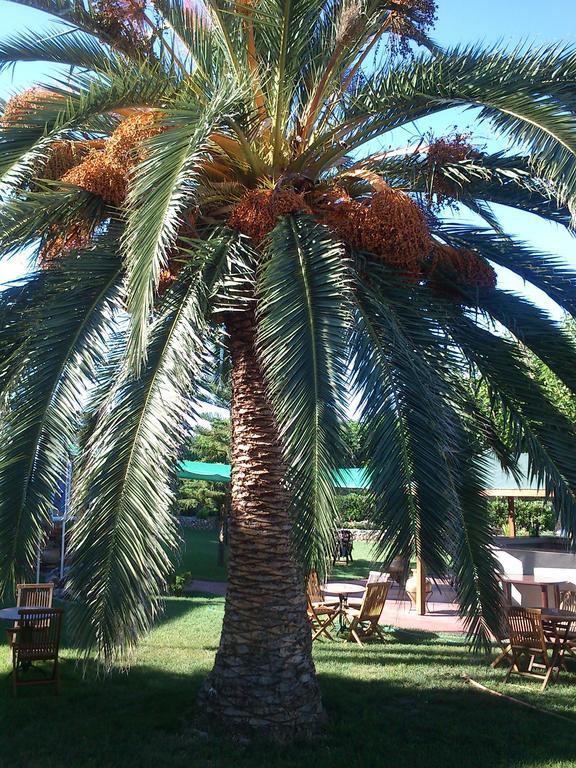 Evoikos Beach & Resort Ліванатаі Екстер'єр фото